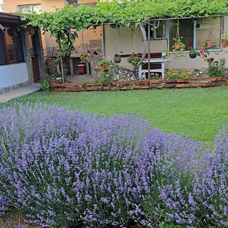 Guest House Sunrise Shabla Εξωτερικό φωτογραφία