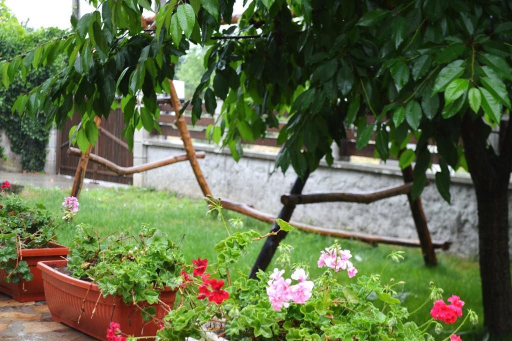 Guest House Sunrise Shabla Δωμάτιο φωτογραφία