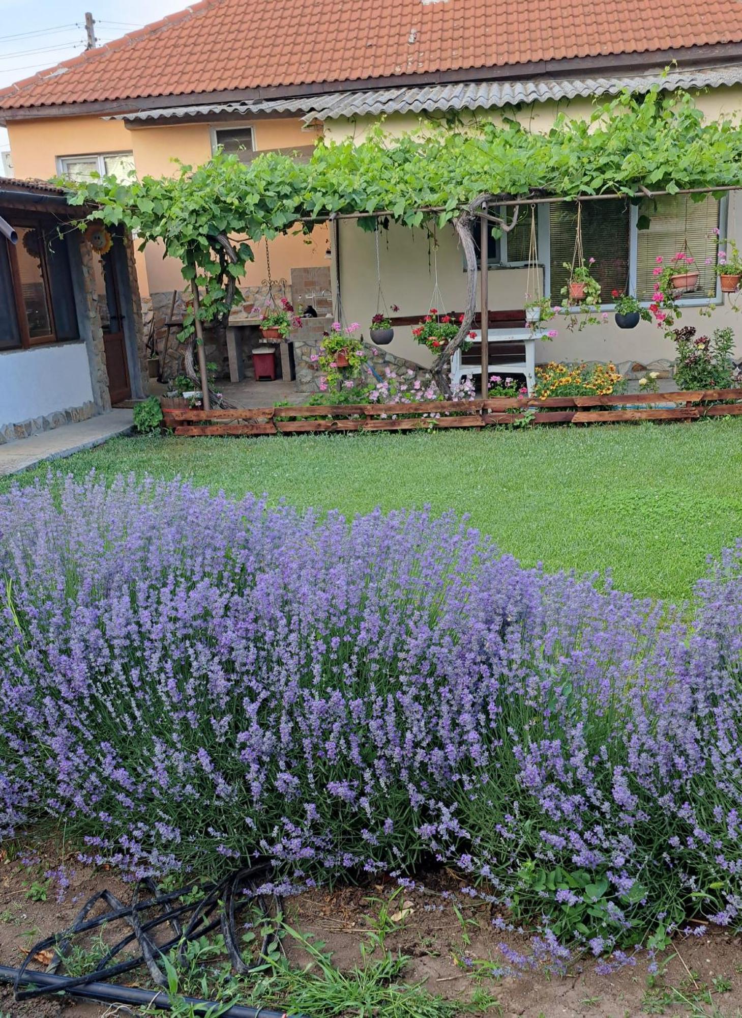 Guest House Sunrise Shabla Εξωτερικό φωτογραφία